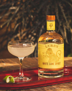 White Cane Spirit
